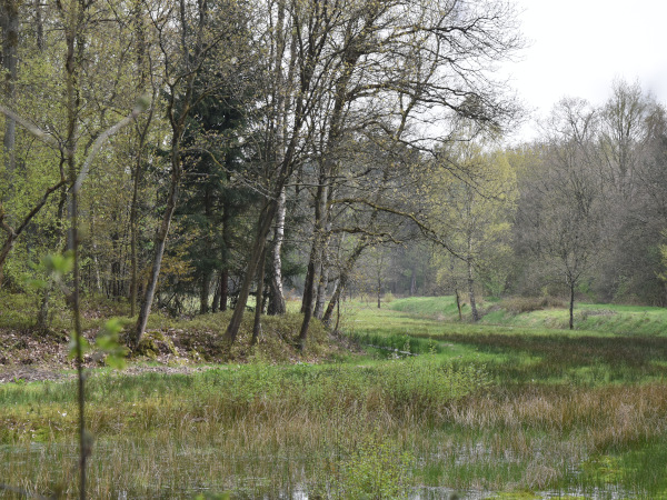 foto van Renkums beekdal