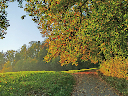 herfstkleuren